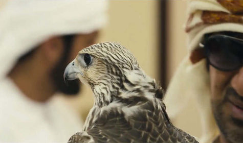 ABU-DHABI-(B-ABAZA)1-Thumb