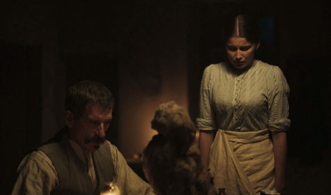 L'INCROYABLE-HISTOIRE-DU-FACTEUR-CHEVAL-LIGHT-7