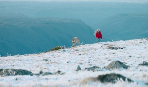 MYSTERE-(F-FONTEMAGGI)1