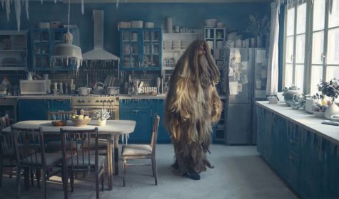 CETELEM-FROZEN-(F-VAUVILLE)1