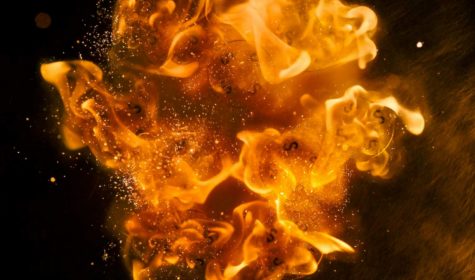 PANZANI-AL-BRONZO-(F-STARR)2