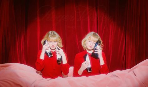 ROGER-VIVIER-CAT-FIGHT-(E-GAUITER)1