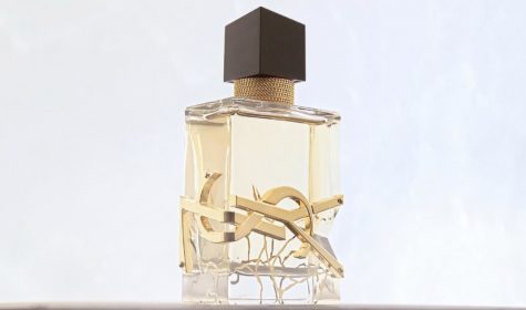 YSL-HOLIDAY-(M-LARSON)1