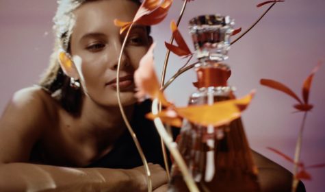 (S TRAN) CAMUS COGNAC