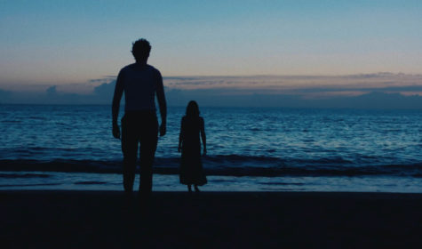 (JB VILLECHAIZE) NUIT BLEUE 1