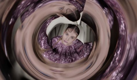 (JB VILLECHAIZE) The Collector (1)