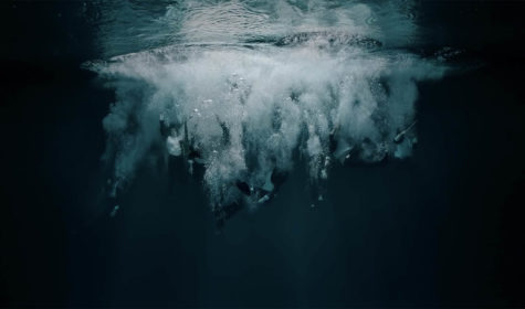 (JM POULICHOT) THYLACINE (1)