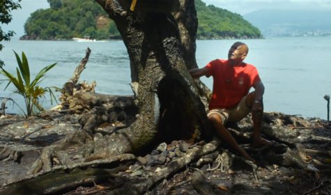 (E SEHET) SOUS LES FEUILLES (1)