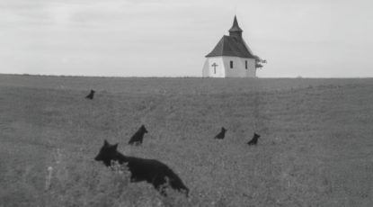 (D DELPUTTE) AMENRA (1)
