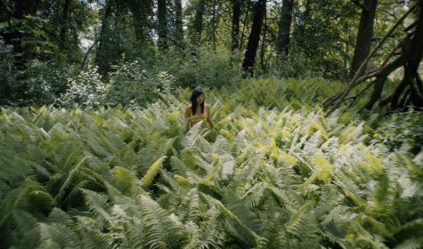 (A ABRECHT) FLARE(1)