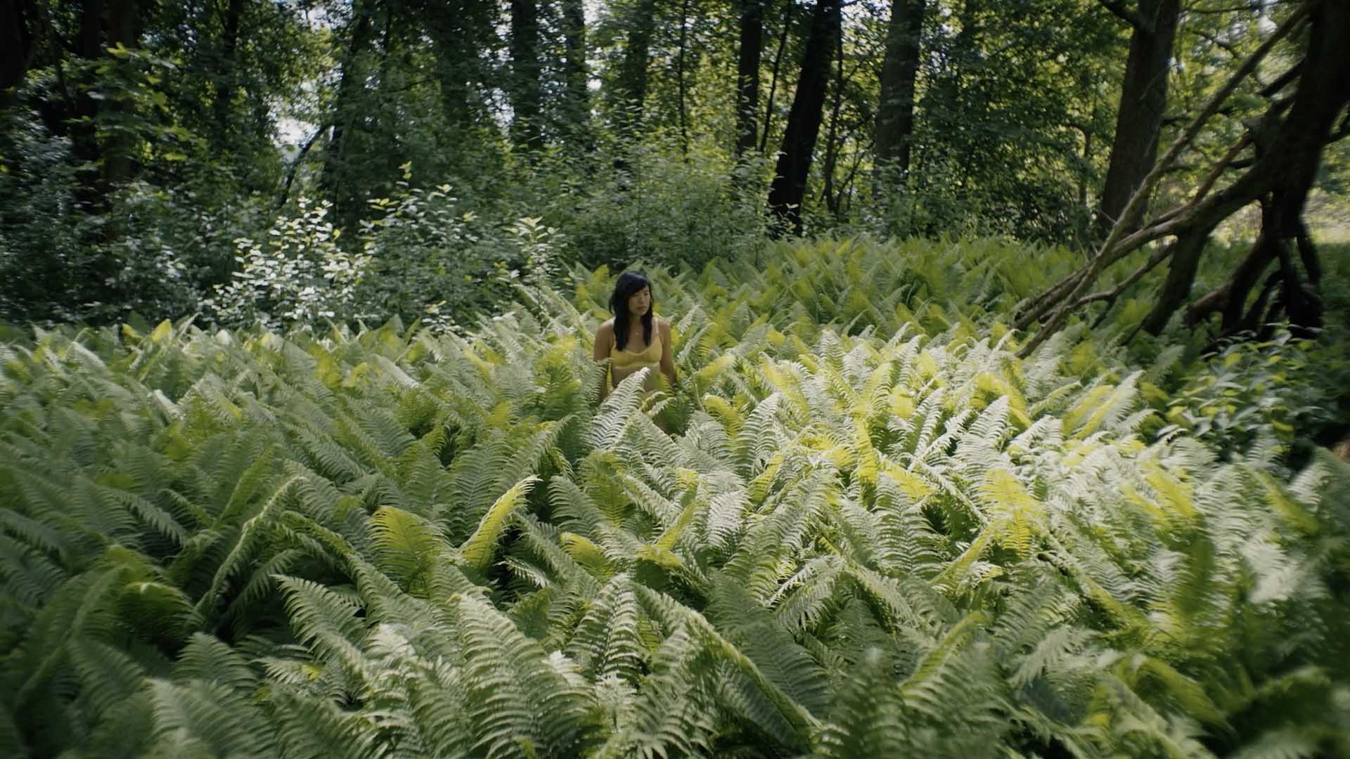 (A ABRECHT) FLARE(1)