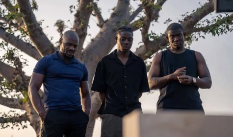 (C WANDERSMAN) BANLIEUSARDS 3 (1)