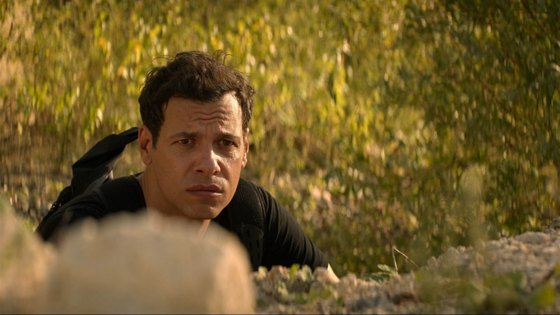 R-CARCANADE-LHEURE-DE-LA-SORTIE-2